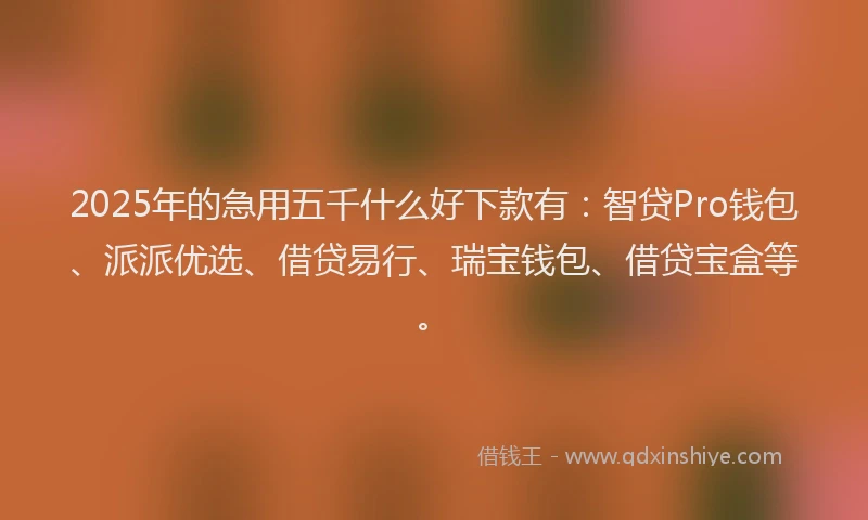 2025年的急用五千什么好下款有：智贷Pro钱包、派派优选、借贷易行、瑞宝钱包、借贷宝盒等。