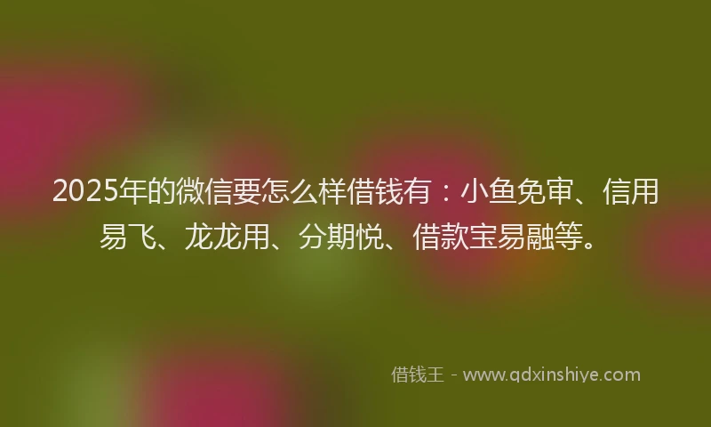 2025年的微信要怎么样借钱有：小鱼免审、信用易飞、龙龙用、分期悦、借款宝易融等。