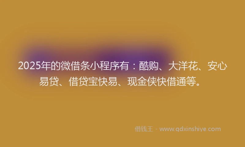 2025年的微借条小程序有：酷购、大洋花、安心易贷、借贷宝快易、现金侠快借通等。