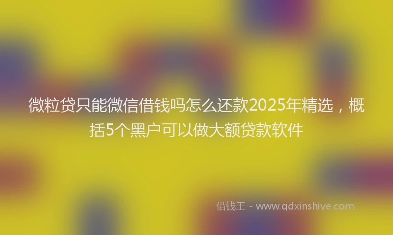 微粒贷只能微信借钱吗怎么还款2025年精选，概括5个黑户可以做大额贷款软件