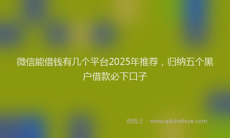 微信能借钱有几个平台2025年推荐，归纳五个黑户借款必下口子