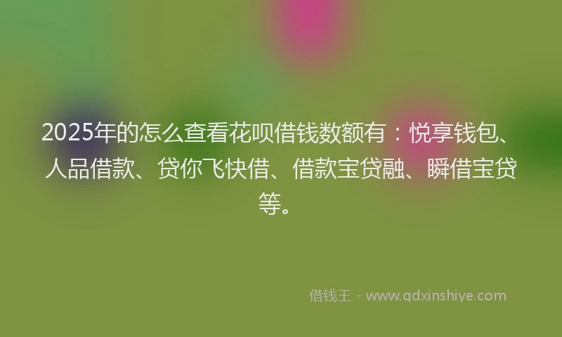 2025年的怎么查看花呗借钱数额有：悦享钱包、人品借款、贷你飞快借、借款宝贷融、瞬借宝贷等。