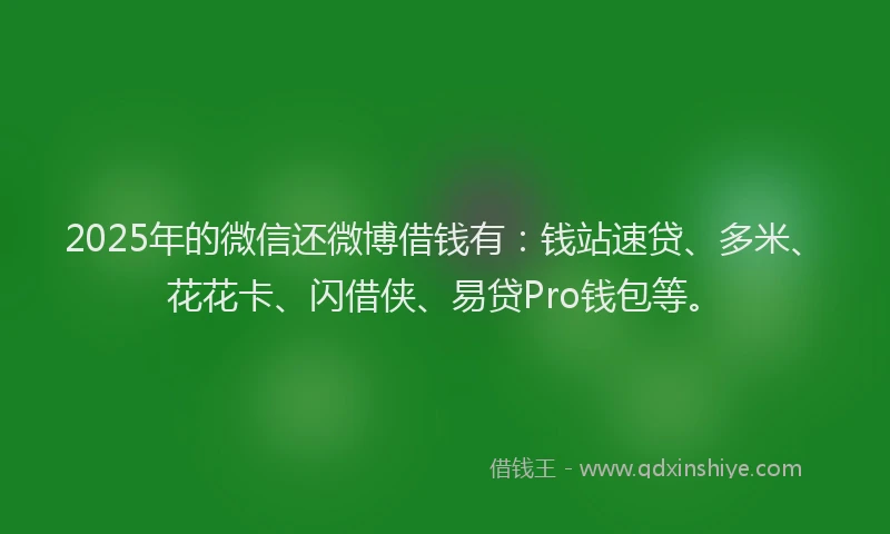 2025年的微信还微博借钱有：钱站速贷、多米、花花卡、闪借侠、易贷Pro钱包等。