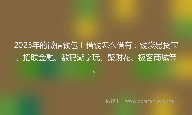 2025年的微信钱包上借钱怎么借有：钱袋易贷宝、招联金融、数码潮享玩、聚财花、极客商城等。