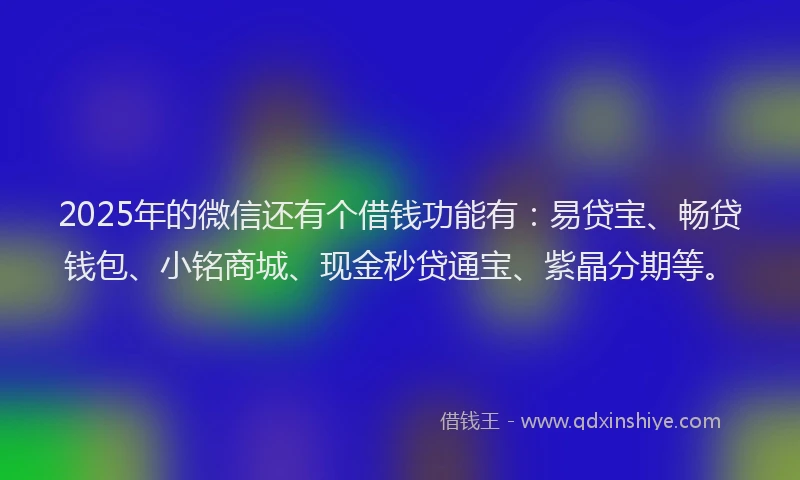 2025年的微信还有个借钱功能有：易贷宝、畅贷钱包、小铭商城、现金秒贷通宝、紫晶分期等。