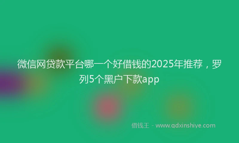 微信网贷款平台哪一个好借钱的2025年推荐，罗列5个黑户下款app