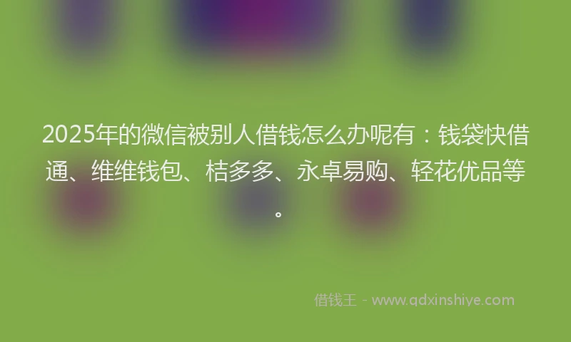 2025年的微信被别人借钱怎么办呢有：钱袋快借通、维维钱包、桔多多、永卓易购、轻花优品等。