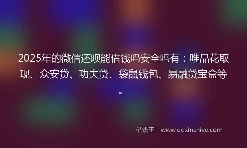 2025年的微信还呗能借钱吗安全吗有：唯品花取现、众安贷、功夫贷、袋鼠钱包、易融贷宝盒等。