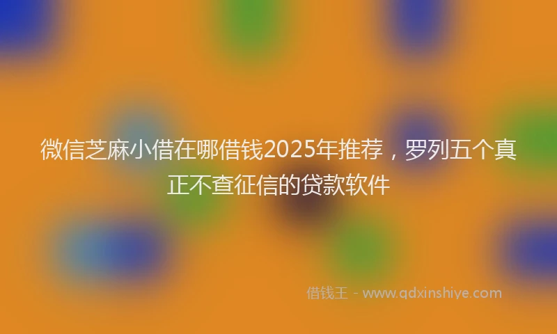 微信芝麻小借在哪借钱2025年推荐，罗列五个真正不查征信的贷款软件