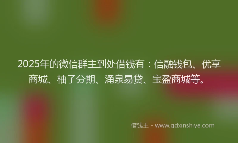2025年的微信群主到处借钱有：信融钱包、优享商城、柚子分期、涌泉易贷、宝盈商城等。