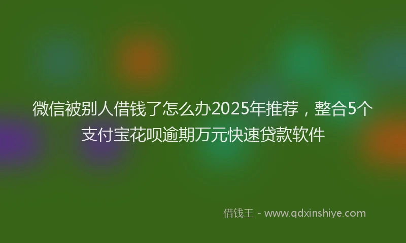 微信被别人借钱了怎么办2025年推荐，整合5个支付宝花呗逾期万元快速贷款软件