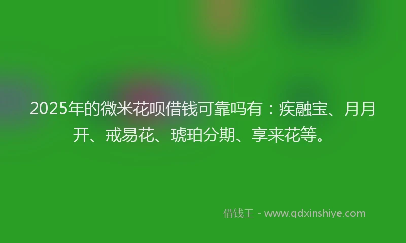 2025年的微米花呗借钱可靠吗有：疾融宝、月月开、戒易花、琥珀分期、享来花等。