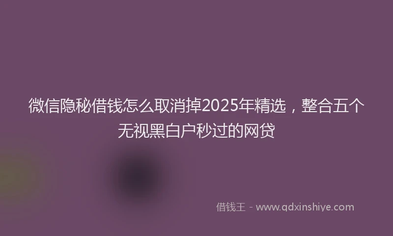 微信隐秘借钱怎么取消掉2025年精选，整合五个无视黑白户秒过的网贷