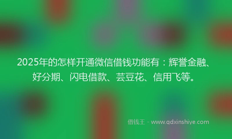 2025年的怎样开通微信借钱功能有：辉誉金融、好分期、闪电借款、芸豆花、信用飞等。