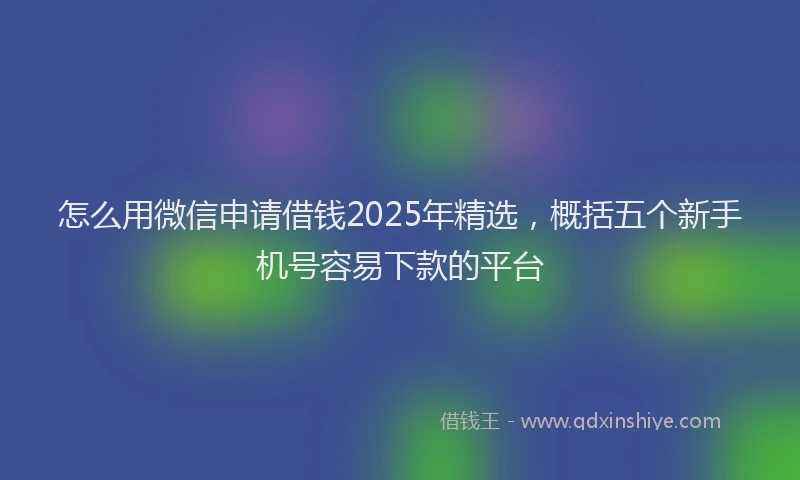 怎么用微信申请借钱2025年精选，概括五个新手机号容易下款的平台