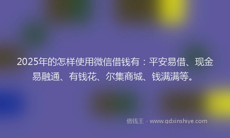 2025年的怎样使用微信借钱有：平安易借、现金易融通、有钱花、尔集商城、钱满满等。