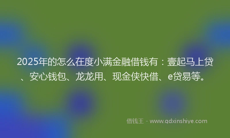2025年的怎么在度小满金融借钱有：壹起马上贷、安心钱包、龙龙用、现金侠快借、e贷易等。