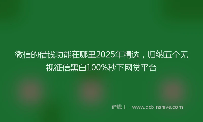 微信的借钱功能在哪里2025年精选，归纳五个无视征信黑白100%秒下网贷平台