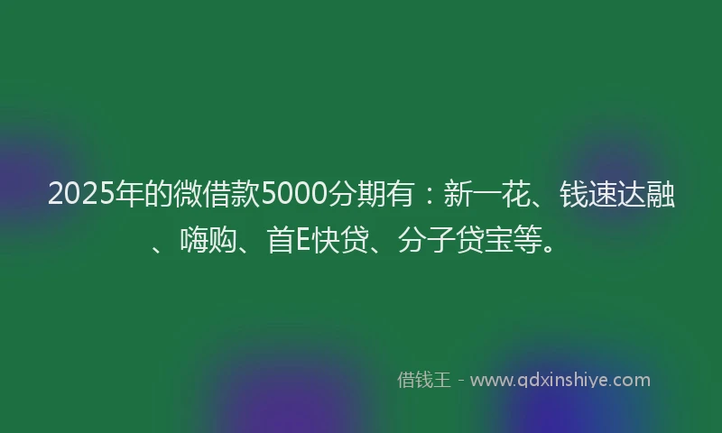 2025年的微借款5000分期有：新一花、钱速达融、嗨购、首E快贷、分子贷宝等。