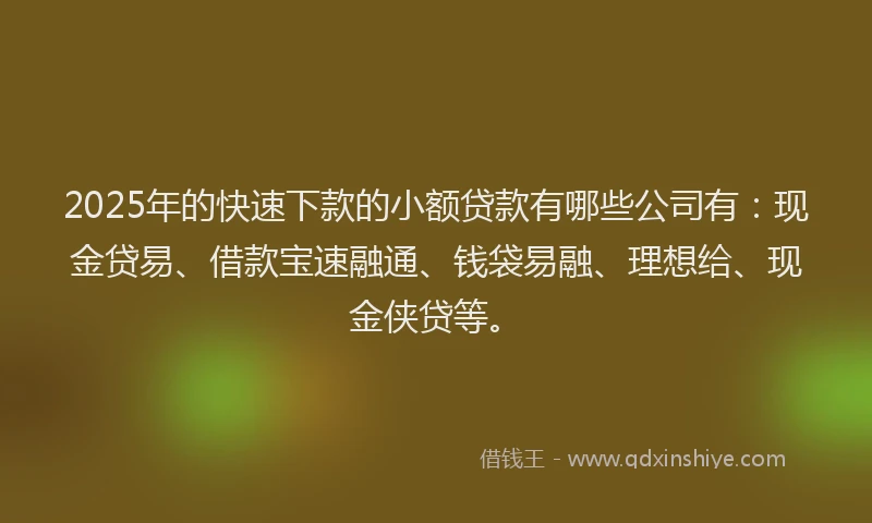 2025年的快速下款的小额贷款有哪些公司有：现金贷易、借款宝速融通、钱袋易融、理想给、现金侠贷等。