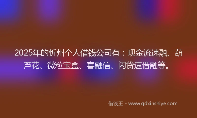 2025年的忻州个人借钱公司有：现金流速融、葫芦花、微粒宝盒、喜融信、闪贷速借融等。