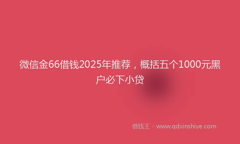 微信金66借钱2025年推荐，概括五个1000元黑户必下小贷