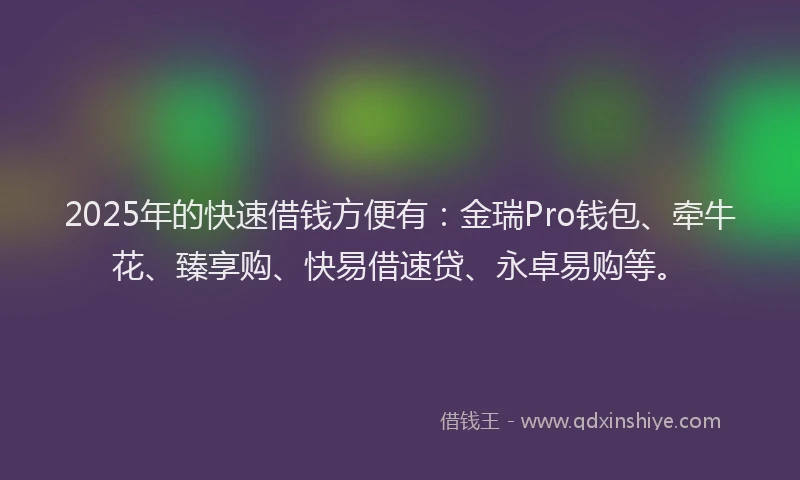 2025年的快速借钱方便有：金瑞Pro钱包、牵牛花、臻享购、快易借速贷、永卓易购等。