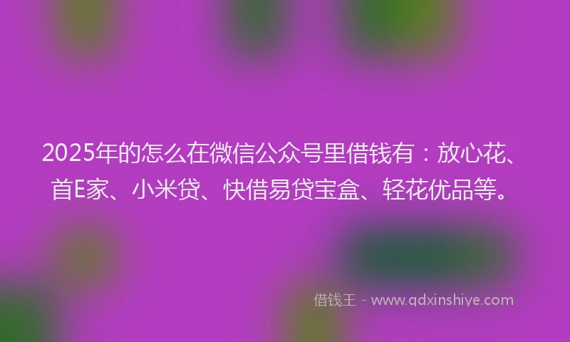 2025年的怎么在微信公众号里借钱有：放心花、首E家、小米贷、快借易贷宝盒、轻花优品等。
