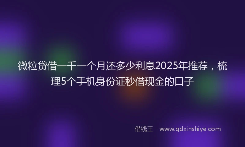 微粒贷借一千一个月还多少利息2025年推荐，梳理5个手机身份证秒借现金的口子