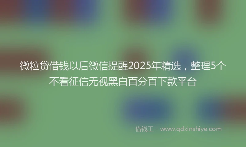 微粒贷借钱以后微信提醒2025年精选，整理5个不看征信无视黑白百分百下款平台
