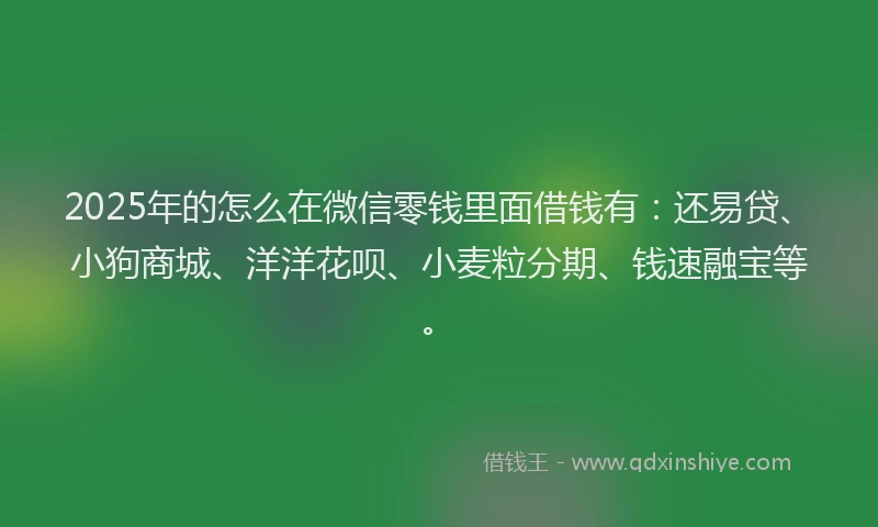 2025年的怎么在微信零钱里面借钱有：还易贷、小狗商城、洋洋花呗、小麦粒分期、钱速融宝等。