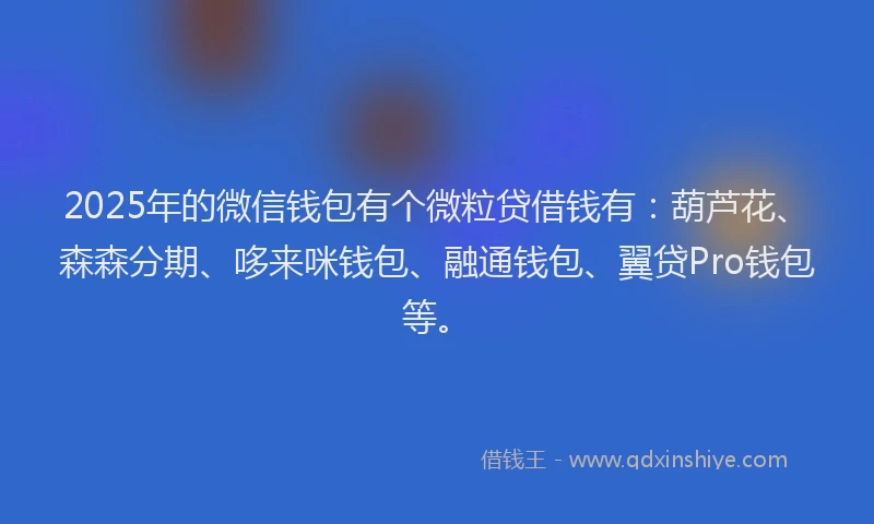 2025年的微信钱包有个微粒贷借钱有：葫芦花、森森分期、哆来咪钱包、融通钱包、翼贷Pro钱包等。