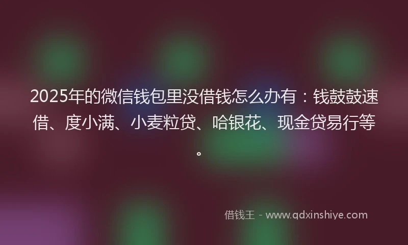 2025年的微信钱包里没借钱怎么办有：钱鼓鼓速借、度小满、小麦粒贷、哈银花、现金贷易行等。