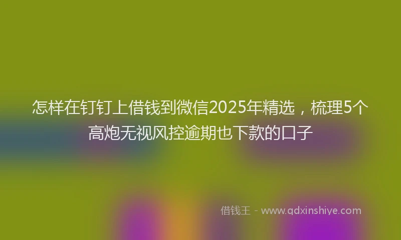 怎样在钉钉上借钱到微信2025年精选，梳理5个高炮无视风控逾期也下款的口子