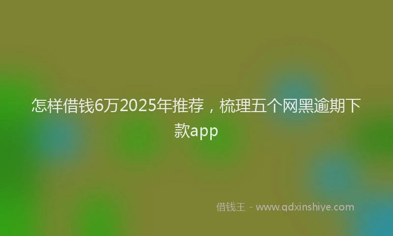 怎样借钱6万2025年推荐，梳理五个网黑逾期下款app