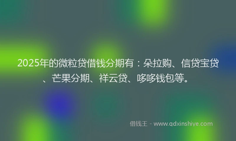 2025年的微粒贷借钱分期有：朵拉购、信贷宝贷、芒果分期、祥云贷、哆哆钱包等。