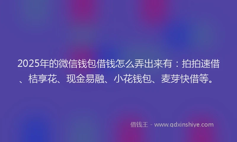2025年的微信钱包借钱怎么弄出来有：拍拍速借、桔享花、现金易融、小花钱包、麦芽快借等。