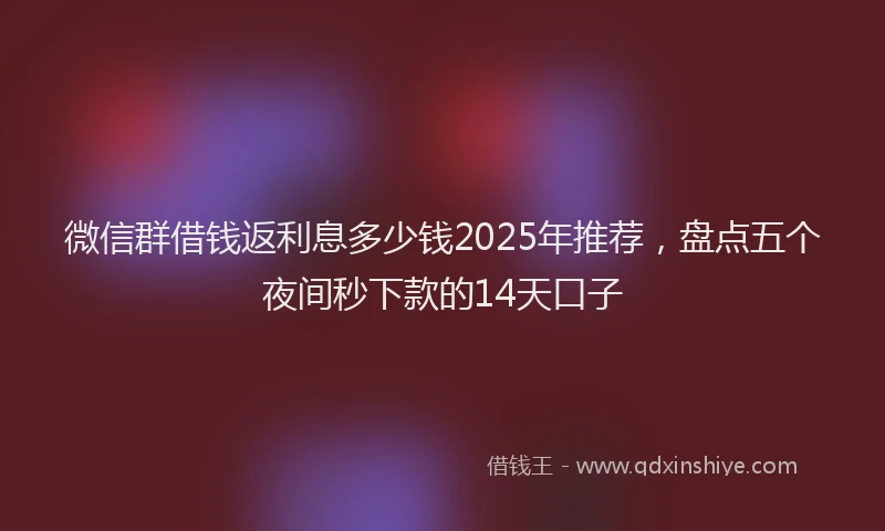 微信群借钱返利息多少钱2025年推荐，盘点五个夜间秒下款的14天口子