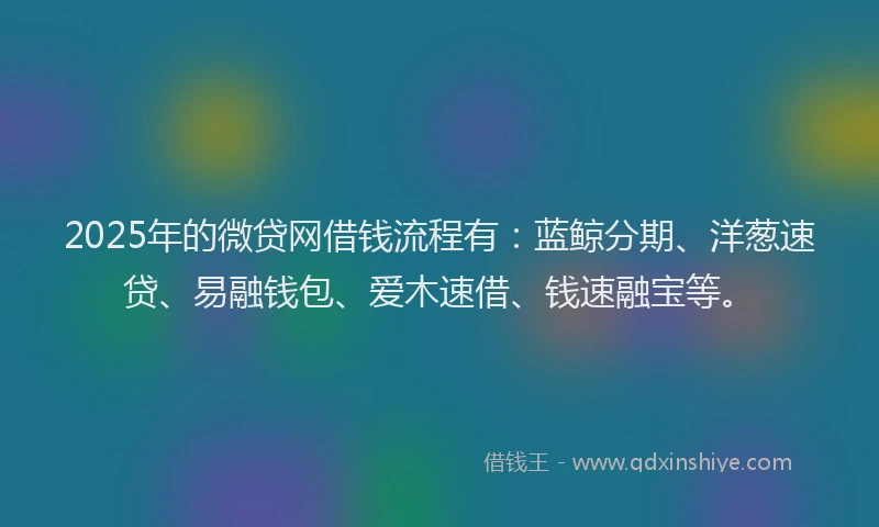 2025年的微贷网借钱流程有：蓝鲸分期、洋葱速贷、易融钱包、爱木速借、钱速融宝等。