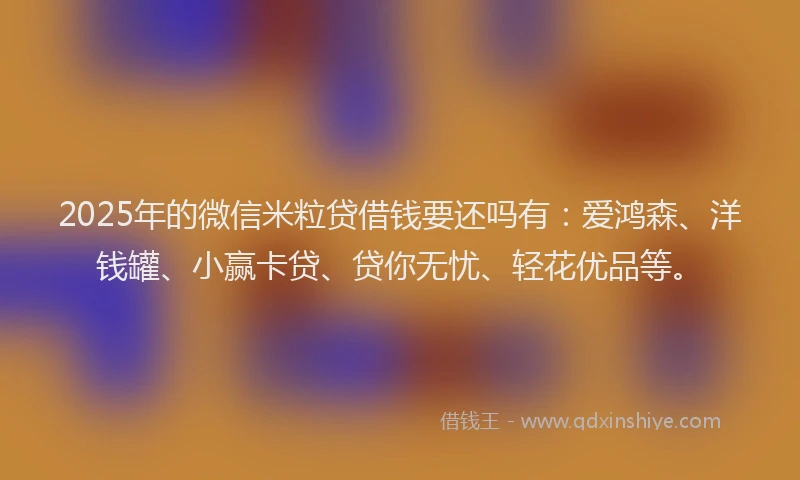 2025年的微信米粒贷借钱要还吗有：爱鸿森、洋钱罐、小赢卡贷、贷你无忧、轻花优品等。