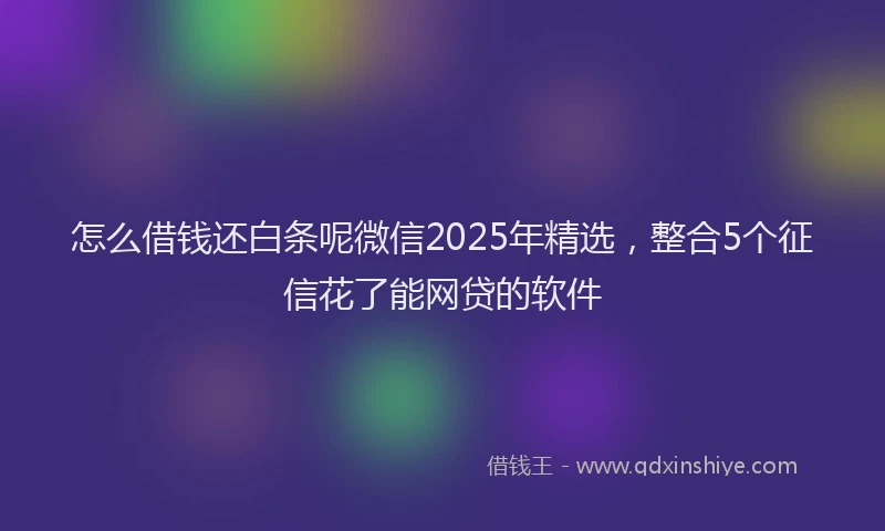怎么借钱还白条呢微信2025年精选，整合5个征信花了能网贷的软件