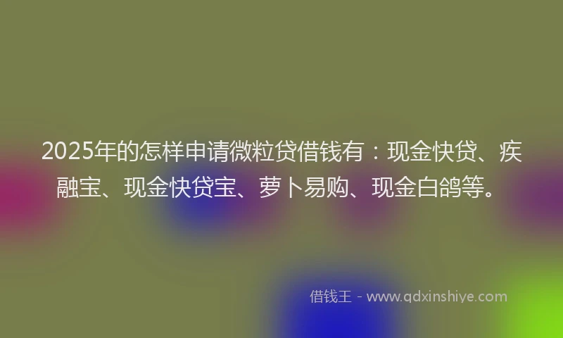 2025年的怎样申请微粒贷借钱有：现金快贷、疾融宝、现金快贷宝、萝卜易购、现金白鸽等。