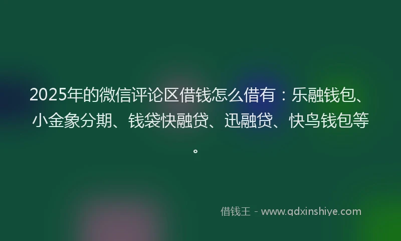 2025年的微信评论区借钱怎么借有：乐融钱包、小金象分期、钱袋快融贷、迅融贷、快鸟钱包等。
