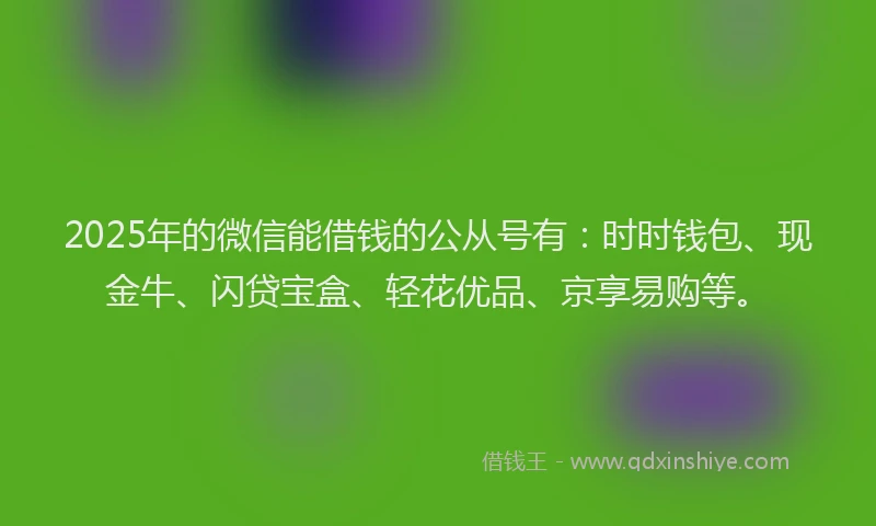2025年的微信能借钱的公从号有：时时钱包、现金牛、闪贷宝盒、轻花优品、京享易购等。