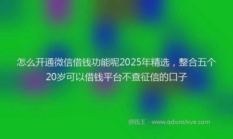 怎么开通微信借钱功能呢2025年精选，整合五个20岁可以借钱平台不查征信的口子