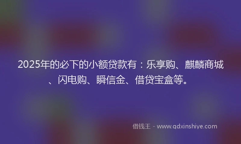 2025年的必下的小额贷款有：乐享购、麒麟商城、闪电购、瞬信金、借贷宝盒等。