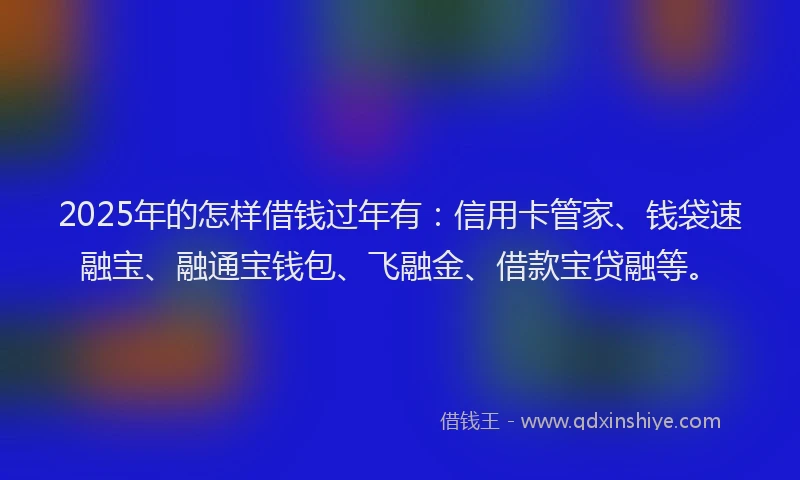 2025年的怎样借钱过年有：信用卡管家、钱袋速融宝、融通宝钱包、飞融金、借款宝贷融等。