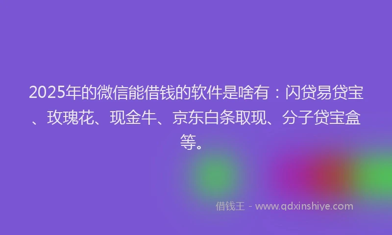 2025年的微信能借钱的软件是啥有：闪贷易贷宝、玫瑰花、现金牛、京东白条取现、分子贷宝盒等。