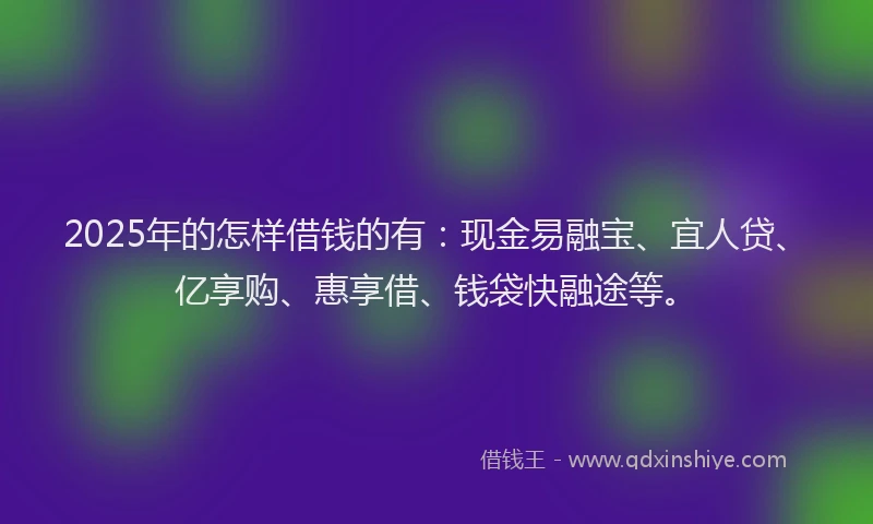 2025年的怎样借钱的有：现金易融宝、宜人贷、亿享购、惠享借、钱袋快融途等。