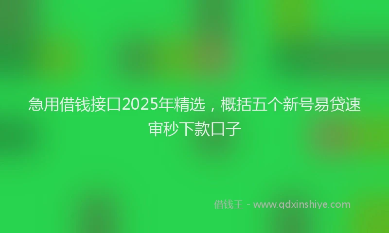 急用借钱接口2025年精选，概括五个新号易贷速审秒下款口子